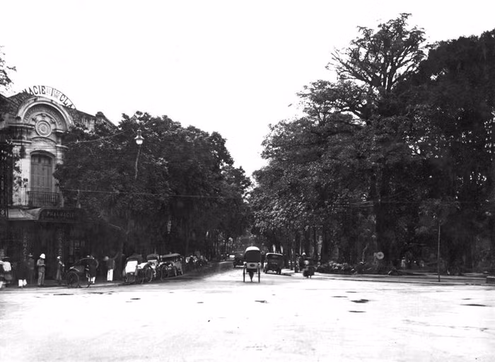 Phố Hàng Khay toàn cảnh nhìn từ ngã tư Tràng Tiền. Phố Hàng Khay toàn cảnh nhìn từ ngã tư Tràng Tiền.