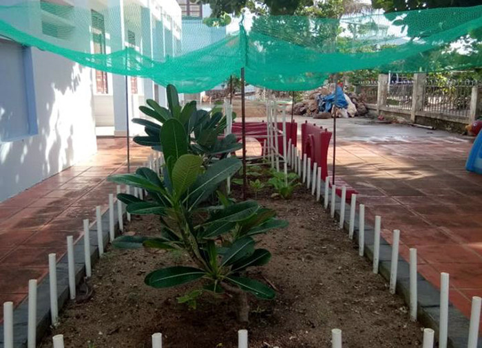 Sức sống trên đảo Trường Sa. (Ảnh: H.T)