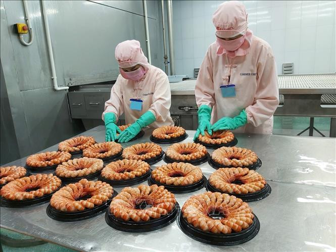 Ảnh minh họa: TTXVN