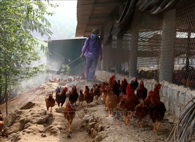 Ảnh minh họa: TTXVN Ảnh minh họa: TTXVN