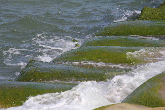 Còn nếu sử dụng phương án kè tổng hợp (kè kết hợp với việc nuôi bãi) thì con số sẽ vượt quá 50 tỷ đồng/km rất nhiều. Với kinh phí “khủng” như thế thì thật khó khả thi… Còn nếu sử dụng phương án kè tổng hợp (kè kết hợp với việc nuôi bãi) thì con số sẽ vượt quá 50 tỷ đồng/km rất nhiều. Với kinh phí “khủng” như thế thì thật khó khả thi…