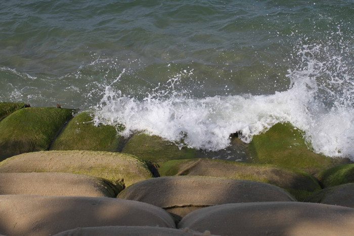 Những bao bố chắn sóng đã phủ đầy rêu xanh. Không biết những bao bố này sẽ chịu đựng được bao lâu trước sự xâm thực ngày càng lớn của sóng biển... Những bao bố chắn sóng đã phủ đầy rêu xanh. Không biết những bao bố này sẽ chịu đựng được bao lâu trước sự xâm thực ngày càng lớn của sóng biển...