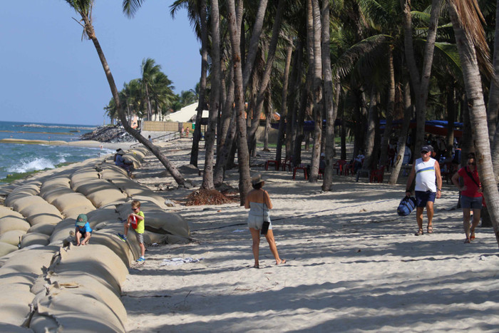 Biển xâm thực đã vào tới hàng dừa gần sát đường...Theo ông Nguyễn Văn Dũng, quyền Chủ tịch UBND TP. Hội An, mỗi năm biển lấn sâu vào đất liền tại khu vực phường Cửa Đại từ 30m- 50m, đặc biệt sau cơn bão số 3 vừa qua tình trạng sạt lở bờ biển Cửa Đại càng nghiêm trọng. Biển xâm thực đã vào tới hàng dừa gần sát đường...Theo ông Nguyễn Văn Dũng, quyền Chủ tịch UBND TP. Hội An, mỗi năm biển lấn sâu vào đất liền tại khu vực phường Cửa Đại từ 30m- 50m, đặc biệt sau cơn bão số 3 vừa qua tình trạng sạt lở bờ biển Cửa Đại càng nghiêm trọng.