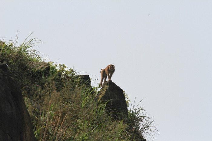 ...cheo leo trên vách đá. ...cheo leo trên vách đá.