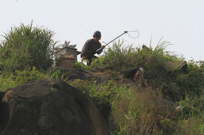 Đã có lúc tưởng chừng như bắt sống được con khỉ này, nhưng lực lượng kiểm lâm lại...thất bại vì nó quá tinh ranh. Đã có lúc tưởng chừng như bắt sống được con khỉ này, nhưng lực lượng kiểm lâm lại...thất bại vì nó quá tinh ranh.