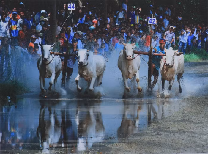 Tác phẩm "Nước rút" của tác giả Phan Ngọc Hợi.