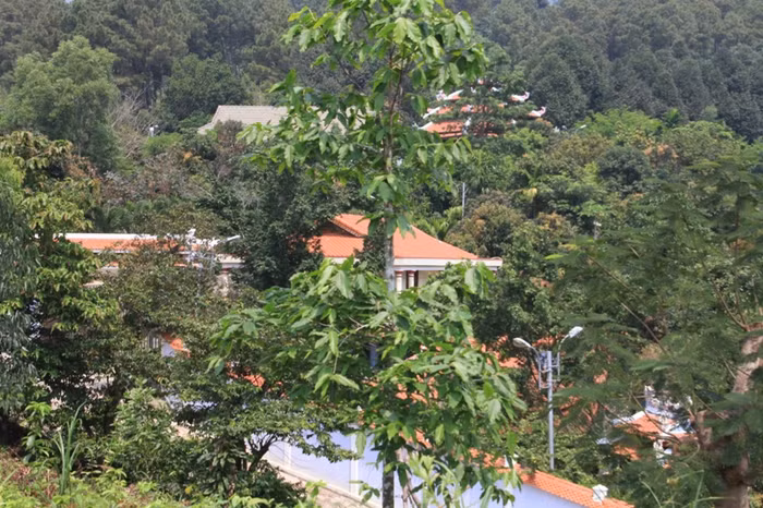 Nhiều ngôi nhà, công trình...của quần thể biệt thự ông Ngô Văn Quang vẫn tồn tại, ẩn trong rừng Hải Vân. Ông Quang xin giữ công trình lại làm khu du lịch, nếu giả sử được giữ lại thì xem như ông Quang vẫn đạt được như mục đích ban đầu?. Ảnh Thùy Linh