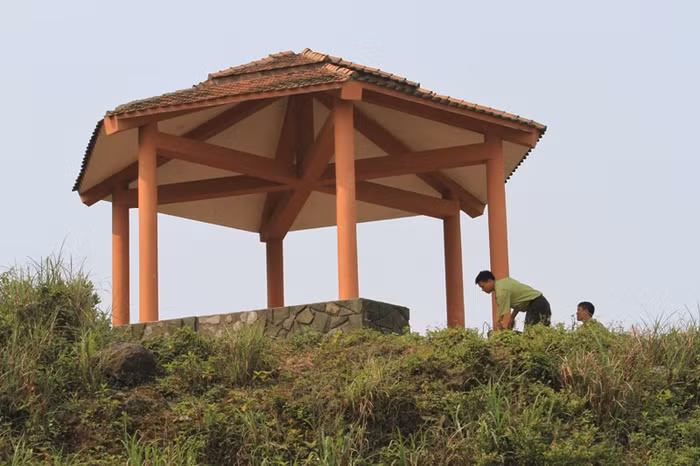 Gần 10 ngày trở lại đây, trên đỉnh Bàn Cờ (Bán đảo Sơn Trà, Đà Nẵng) xuất hiện một con khỉ hung dữ, tấn công và cắn người. Một số du khách khi lên tham quan đỉnh Bàn Cờ đã bị con khỉ này tấn công. Đây là lần đầu tiên xuất hiện một con khỉ hung dữ như vậy trên đỉnh Bàn Cờ này.