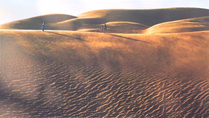 Tác phẩm "Đồi cát" của tác giả Ngô Kỳ.