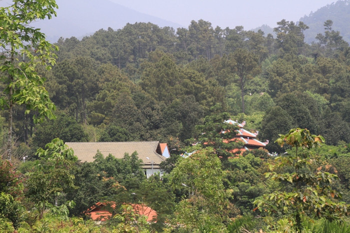 Những nhà mái ngói của "biệt phủ" đại gia vàng - Ngô Văn Quang vẫn ẩn mình trong rừng cây, chưa có biểu hiện được tháo dỡ... Những nhà mái ngói của "biệt phủ" đại gia vàng - Ngô Văn Quang vẫn ẩn mình trong rừng cây, chưa có biểu hiện được tháo dỡ...