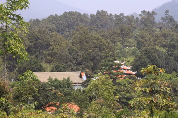 Những nhà mái ngói của "biệt phủ" đại gia vàng - Ngô Văn Quang vẫn ẩn mình trong rừng cây, chưa có biểu hiện được tháo dỡ... Những nhà mái ngói của "biệt phủ" đại gia vàng - Ngô Văn Quang vẫn ẩn mình trong rừng cây, chưa có biểu hiện được tháo dỡ...