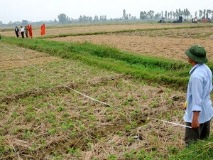 Ảnh minh họa: Internet. Ảnh minh họa: Internet.