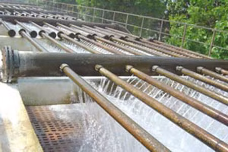 Ảnh minh họa: Internet.