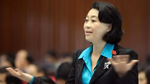 Bà Đặng Thị Hoàng Yến tại diễn đàn Quốc hội. Ảnh: Việt Dũng/ Tuổi Trẻ.