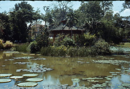 Vườn thực vật. Vườn thực vật.