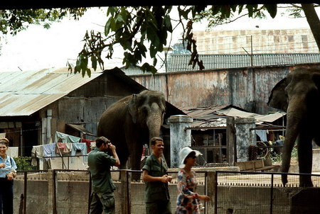 Lính Mỹ trong Thảo Cầm Viên. Lính Mỹ trong Thảo Cầm Viên.