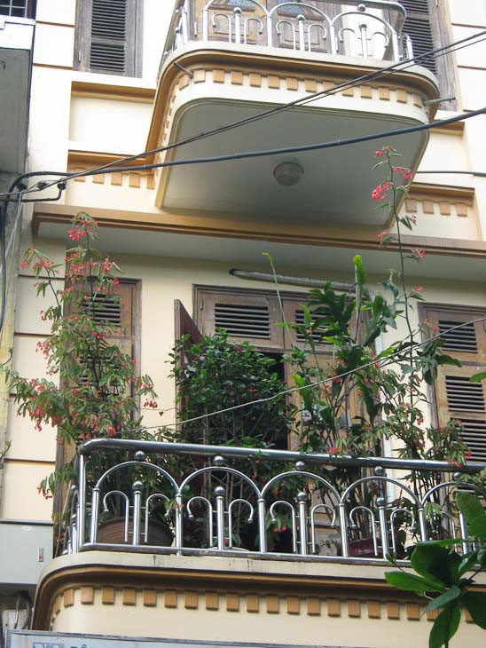 Mặc dù trồng trong chậu cảnh nhưng cây vẫn xanh tươi. Mặc dù trồng trong chậu cảnh nhưng cây vẫn xanh tươi.