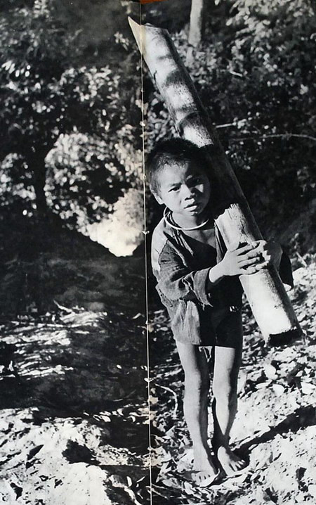 Trẻ em H'Mông đã biết lao động từ khi còn rất nhỏ.