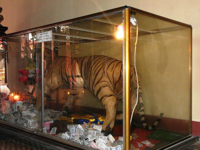 Con hổ có chiều dài hơn 2 mét, thuộc dòng hổ Siberia. Đây là loài hổ quý hiếm, còn sót lại rất ít trên toàn thế giới. Người phụ trách lăng cho biết, một đại gia đã mang con hổ này đến lăng để cúng dường, tạ ơn Tả quân Lê Văn Duyệt đã cho lời cầu xin của mình thành hiện thực. Con hổ có chiều dài hơn 2 mét, thuộc dòng hổ Siberia. Đây là loài hổ quý hiếm, còn sót lại rất ít trên toàn thế giới. Người phụ trách lăng cho biết, một đại gia đã mang con hổ này đến lăng để cúng dường, tạ ơn Tả quân Lê Văn Duyệt đã cho lời cầu xin của mình thành hiện thực.