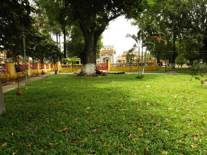 Một thảm cỏ xanh mướt nằm giữa trục đường náo nhiệt…. Một thảm cỏ xanh mướt nằm giữa trục đường náo nhiệt….