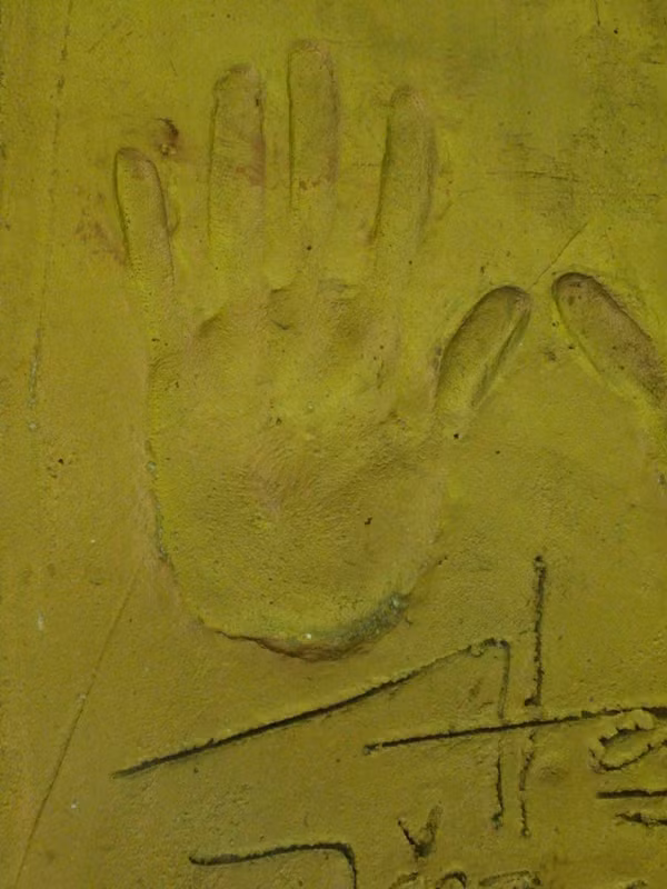 Bàn tay trái của người đẹp...