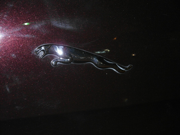 Nổi bật ở phần sau xe là hình nổi một con báo đang chồm lên rất hùng dũng... Nổi bật ở phần sau xe là hình nổi một con báo đang chồm lên rất hùng dũng...