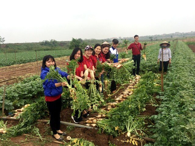 Nỗi gian truân của người nông dân và trách nhiệm của các Bộ trưởng ảnh 4 Nỗi gian truân của người nông dân và trách nhiệm của các Bộ trưởng ảnh 4
