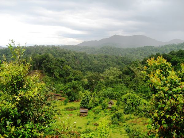 Ảnh minh họa: baochinhphu.vn Ảnh minh họa: baochinhphu.vn
