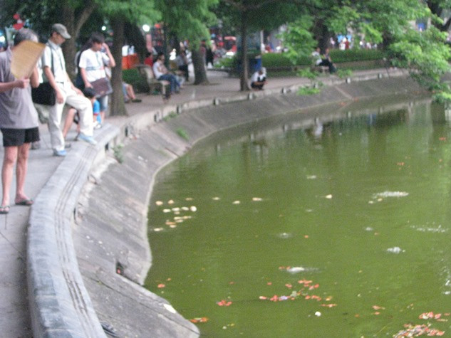 Và một cảnh tượng không mấy đẹp mắt, người dân hồn nhiên thả đồ ăn như bánh mì, kẹo, bánh… và ngay cả những túi nilong cũng được tuôn theo đó..