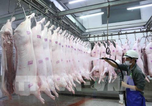 Xử lý nghiêm các trường hợp găm hàng, đẩy giá thị lợn lên cao Xử lý nghiêm các trường hợp găm hàng, đẩy giá thị lợn lên cao