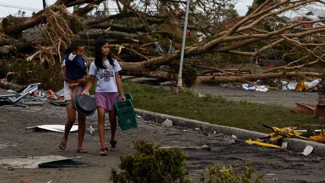 Cây to bị bão quật gẫy làm tắc nghẽn các tuyến đường.