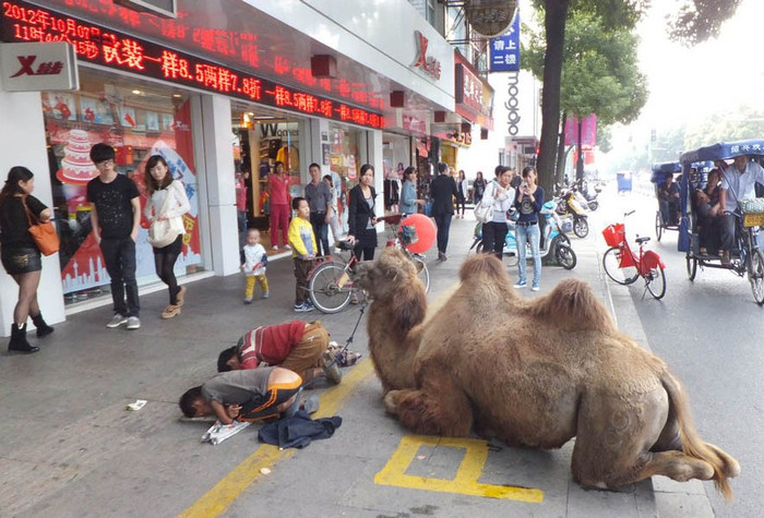 Chiêu mới của đệ tử "Cái bang" Trung Quốc? Chiêu mới của đệ tử "Cái bang" Trung Quốc?