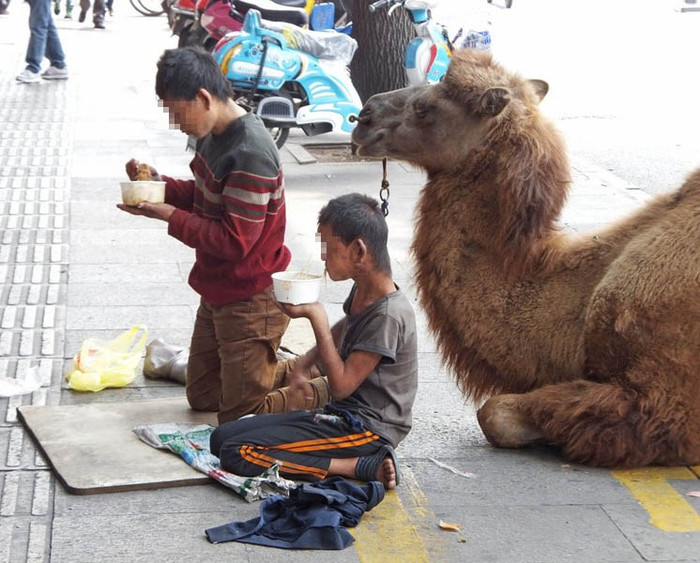 Họ cứ quỳ lạy những người qua đường mà không nói gì Họ cứ quỳ lạy những người qua đường mà không nói gì