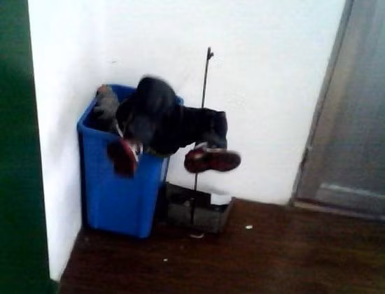 Một cậu bé bị quẳng vào sọt rác để cô chụp ảnh tiêu khiển