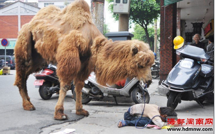 Già có, trẻ có Già có, trẻ có