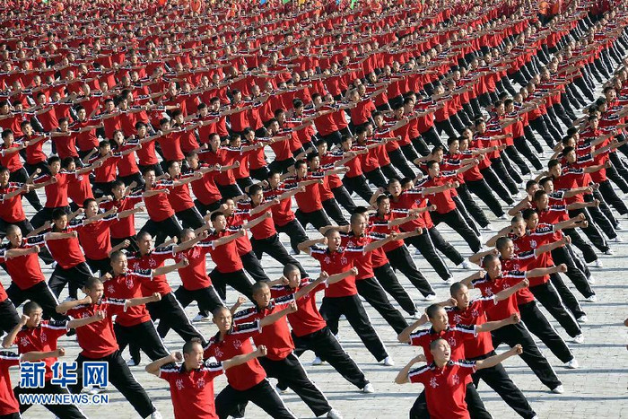 Thiếu Lâm Tự kungfu ban đầu chỉ phổ biến trong giới hạn những nhà sư xuất gia tại chùa Thiếu Lâm như một phương tiện rèn luyện sức khỏe và cứu độ chúng sinh, nay đã trở thành môn võ thuật phổ biến khắp thế giới