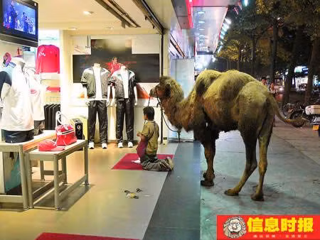 Ăn mày không chịu rời cửa hàng nếu không nhận được đồng nào