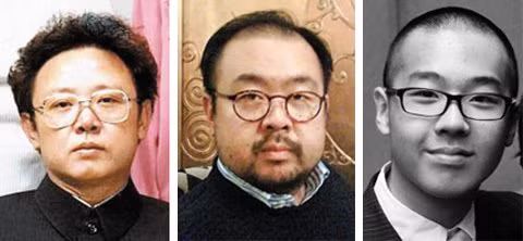 Kim Jong-il, Kim Jong-nam, Kim Han-sol