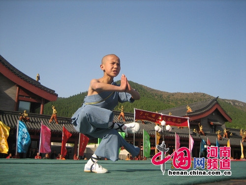 Biểu diễn võ thuật Biểu diễn võ thuật