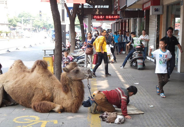 Cầu xin lòng thương hại của người khác Cầu xin lòng thương hại của người khác