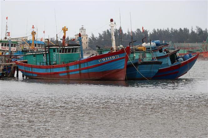 Khai thác hải sản là thế mạnh của Việt Nam. Ảnh minh họa: VietnamPlus Khai thác hải sản là thế mạnh của Việt Nam. Ảnh minh họa: VietnamPlus