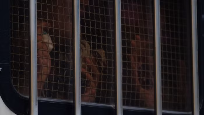 Nước mắt có làm dịu đi nỗi đau của họ, nỗi đau của những người thân?