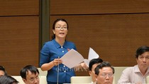 Củi lớn, củi bé vào lò, nhưng tài sản tham nhũng đi đâu? ảnh 4 Củi lớn, củi bé vào lò, nhưng tài sản tham nhũng đi đâu? ảnh 4