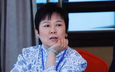 Lý Tiểu Lâm, con gái cố Chủ tịch nước Trung Quốc Lý Tiên Niệm, người được Kyodo cho là bạn thân của ông Tập Cận Bình