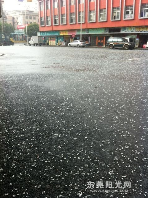 Mưa đá ngập đường, gây ra nguy hiểm chết người cho những ai không kịp tìm chỗ trú ẩn Mưa đá ngập đường, gây ra nguy hiểm chết người cho những ai không kịp tìm chỗ trú ẩn