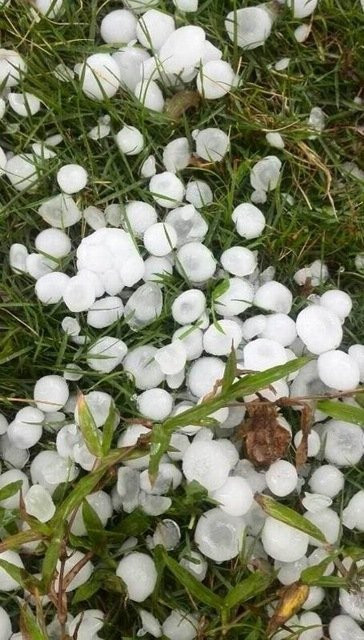 Mưa đá còn lại trên bãi cỏ Mưa đá còn lại trên bãi cỏ