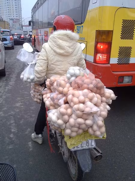 Chở hàng chuyên nghiệp.