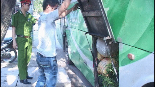 Thịt thối được giấu trong cốp xe Thịt thối được giấu trong cốp xe