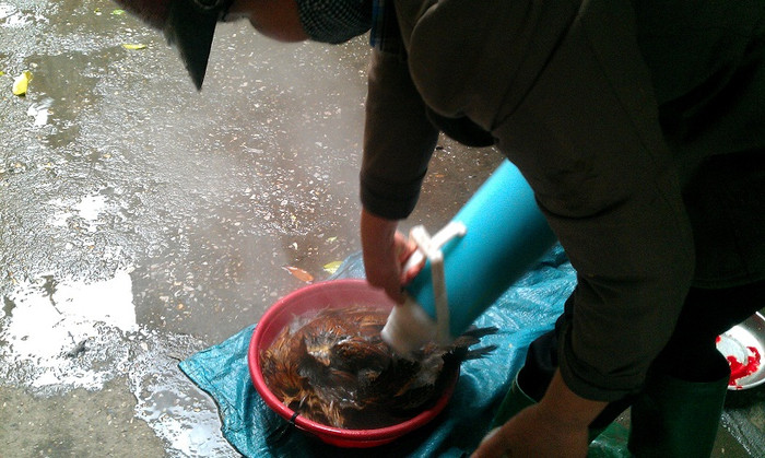 Người phụ này xin chủ nhà một phích nước sôi Người phụ này xin chủ nhà một phích nước sôi