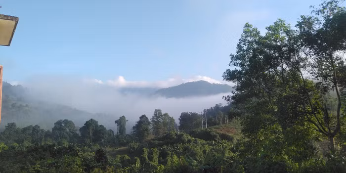 Núi rừng Trường Sơn bồng bềnh trong sương sớm. Núi rừng Trường Sơn bồng bềnh trong sương sớm.